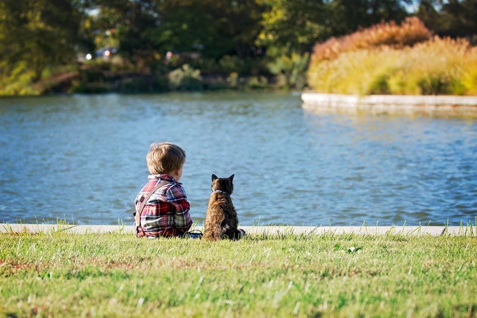 Boy and cat